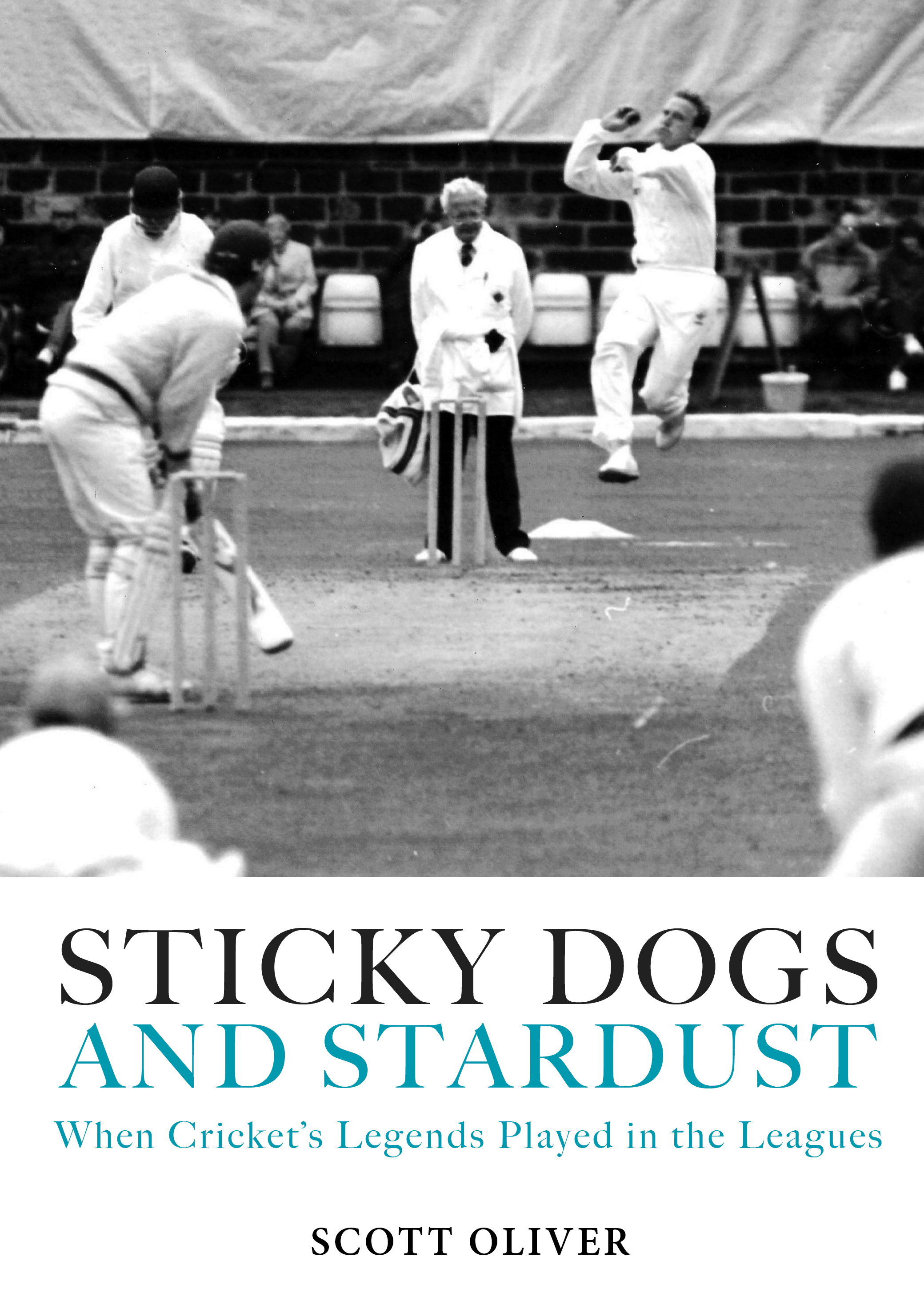 Sticky Dogs Cover