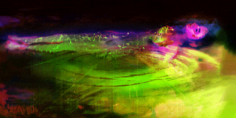 69c6275f-46b2-4a81-987b-a64436ac831e.gif