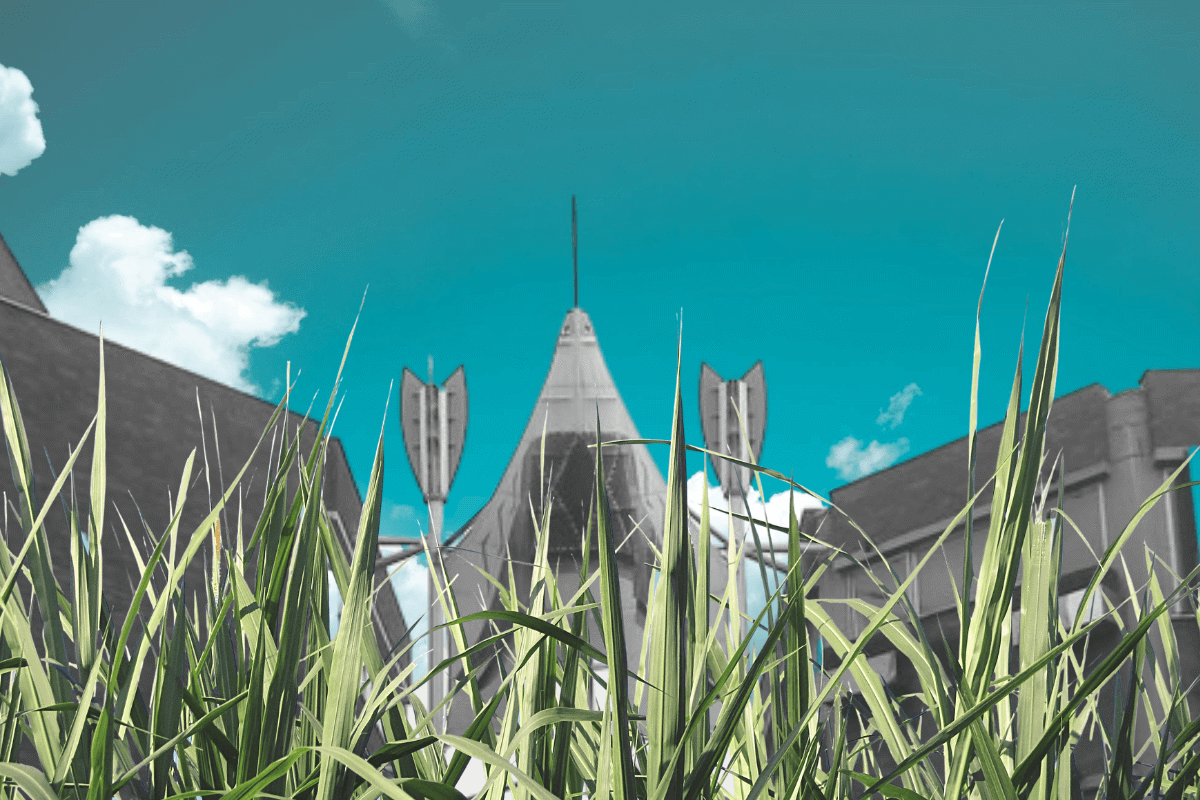 b66a72a2-ecca-490d-ade7-f12e60387a09.png