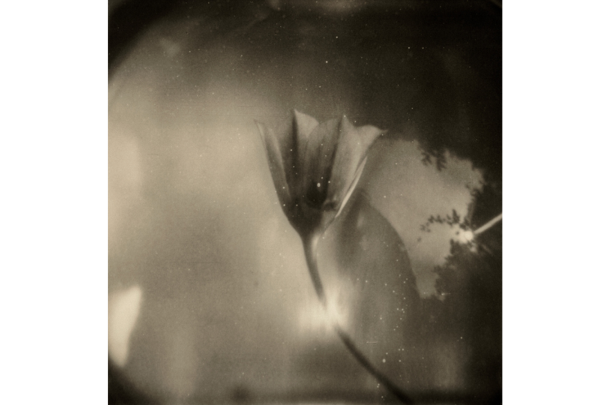 8. Max Kandhola The Garden (ਬਾਗ, Bag)