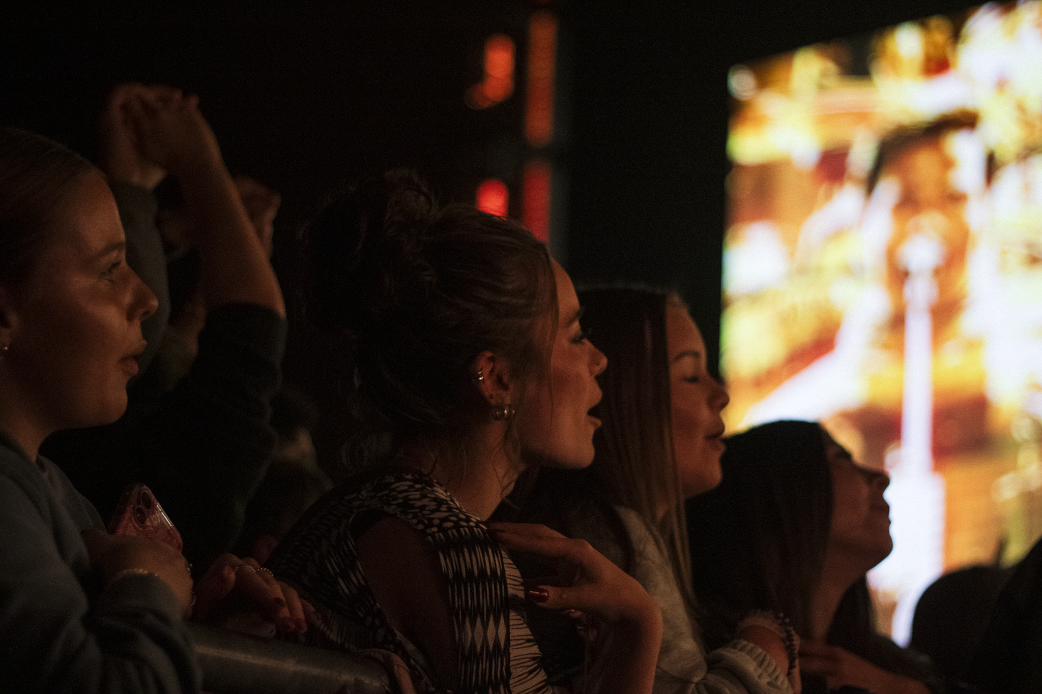 Summer Ford Stereophonics 15