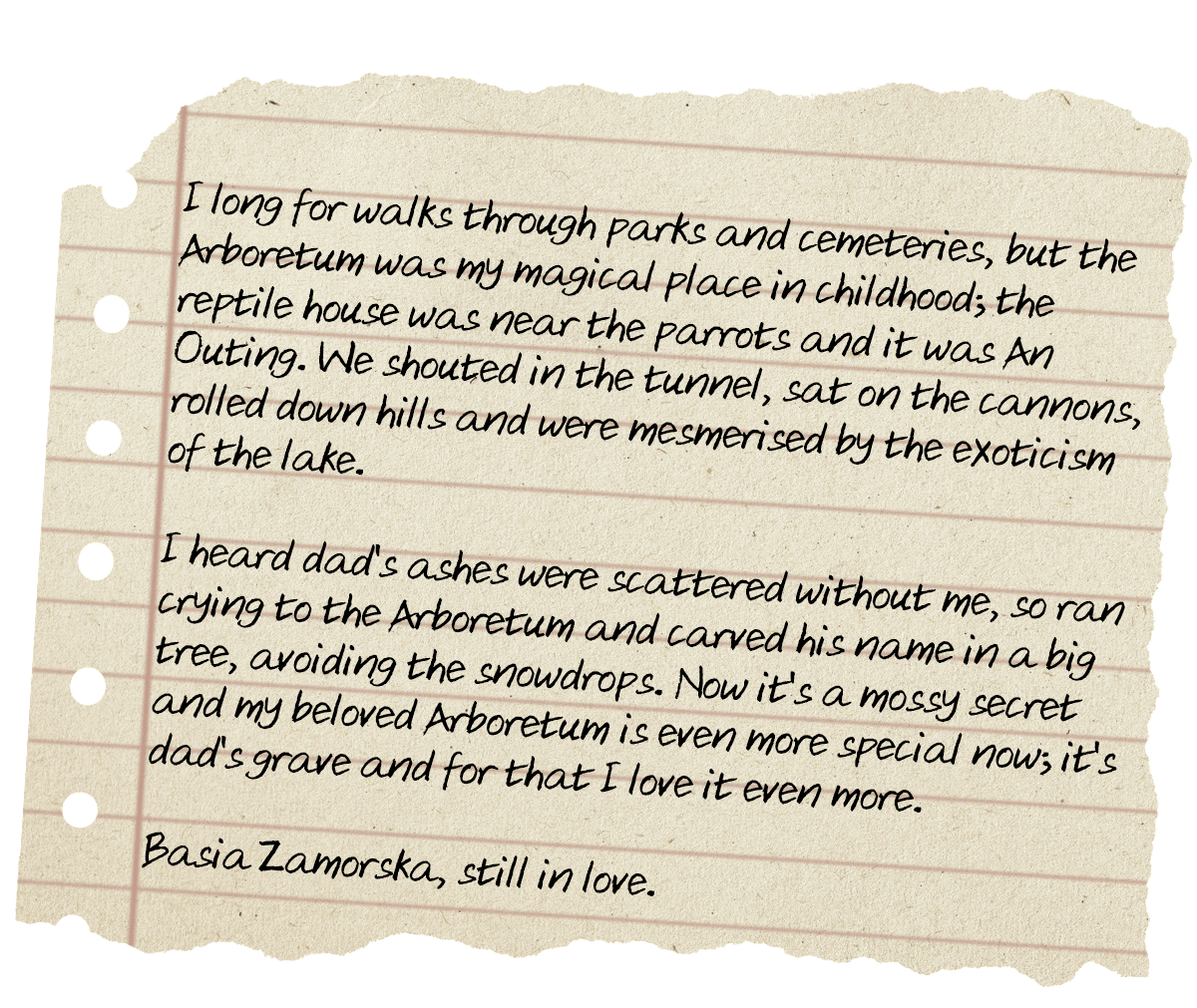 accee897-c995-4589-a7df-137451b60701.png