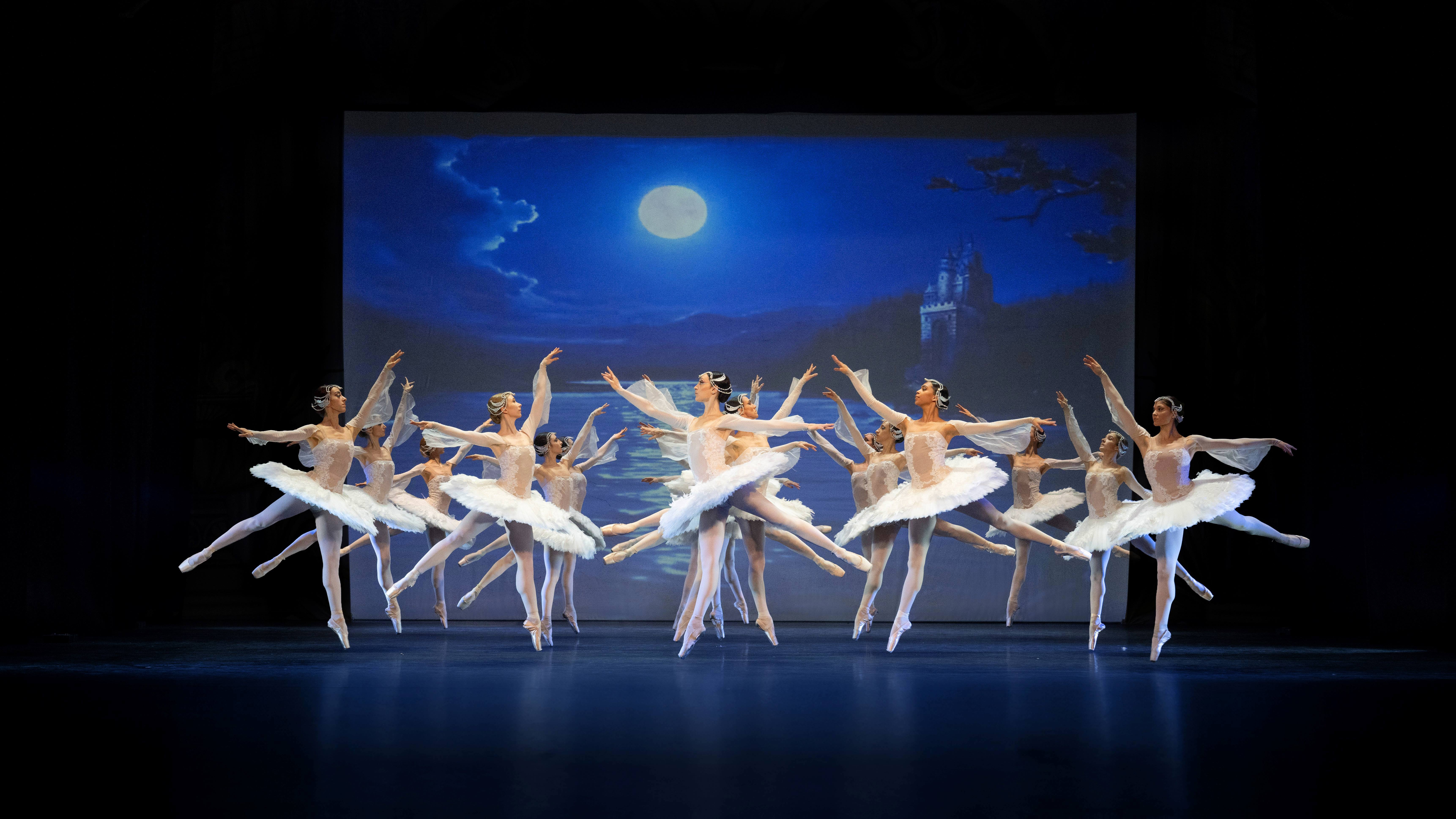 Varna Swan Lake 1