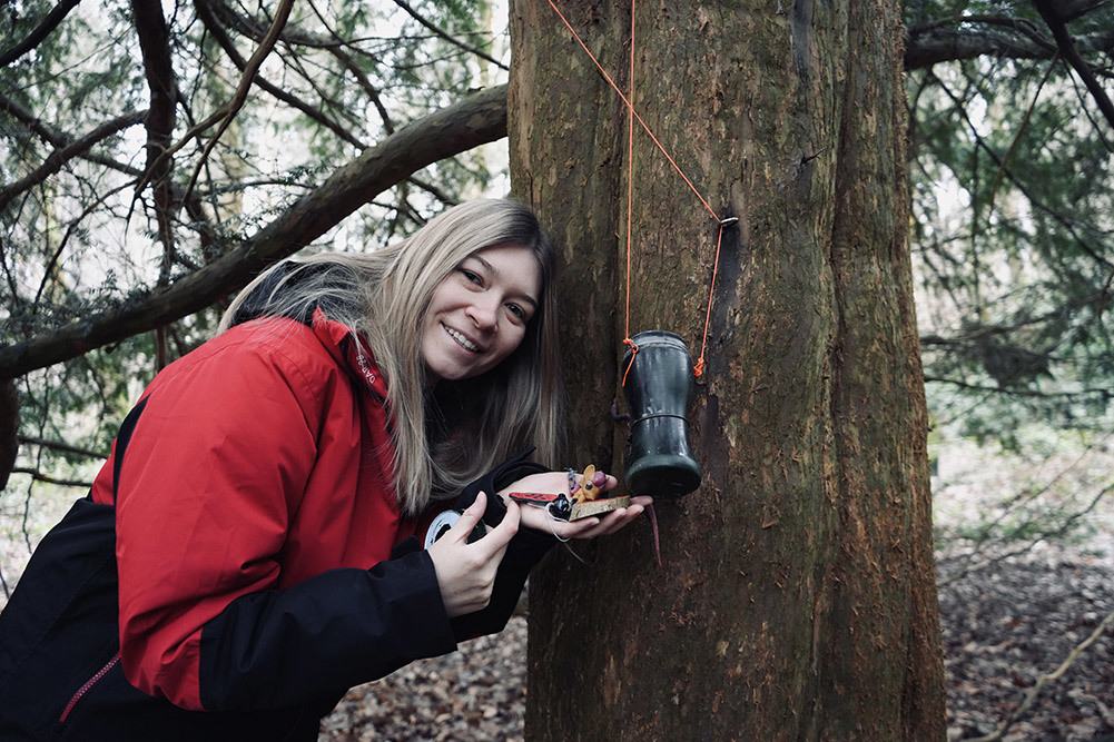 Pulley String Clumber Park (1)