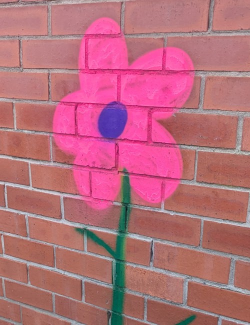 Aaflowers