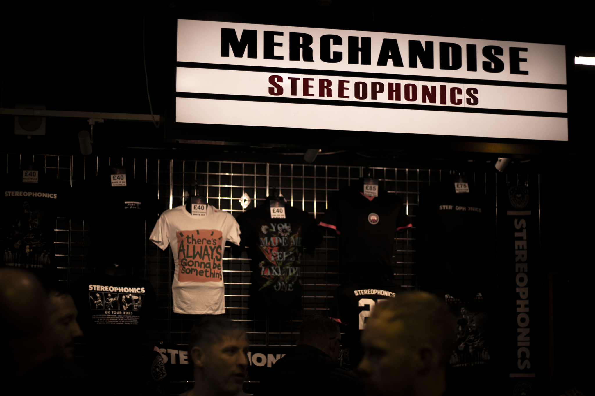 Summer Ford Stereophonics 1