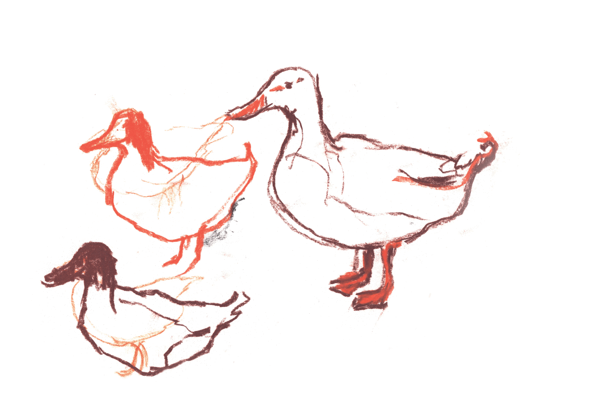 6c9fd8e3-88ea-4e73-9d02-b36d09442595.png