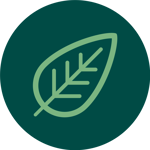 Leaf green-122705.png