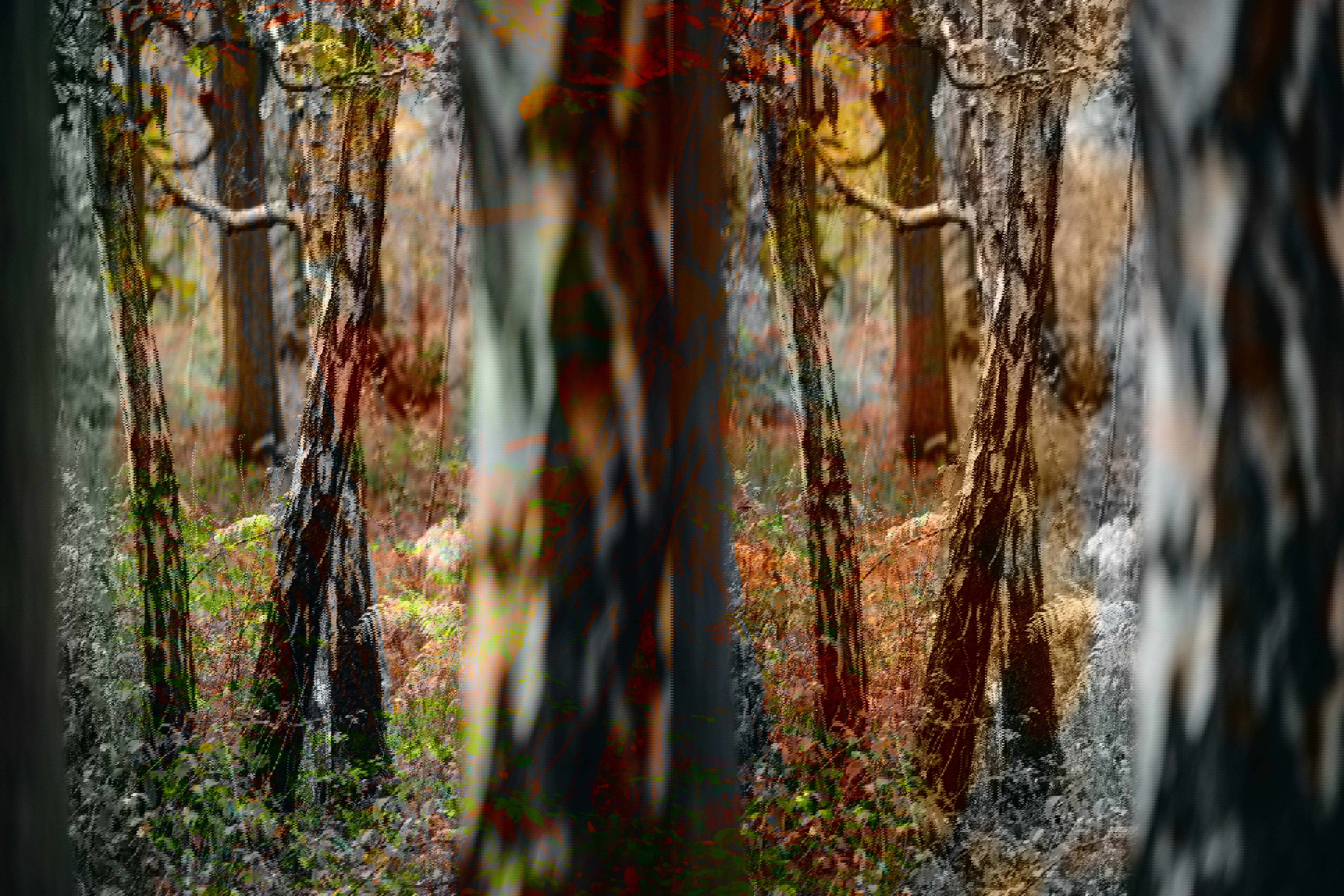 Jack Plant Ugfbroo9yem Unsplash (1)