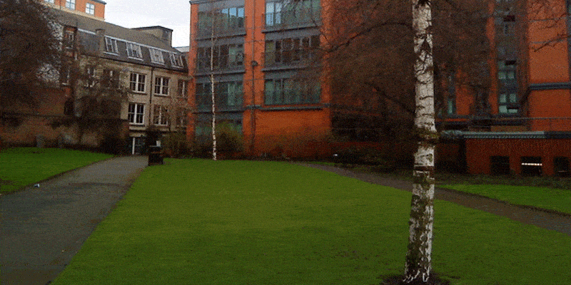b4db2cc0-066c-4364-99c3-304ac4f2cb94.gif