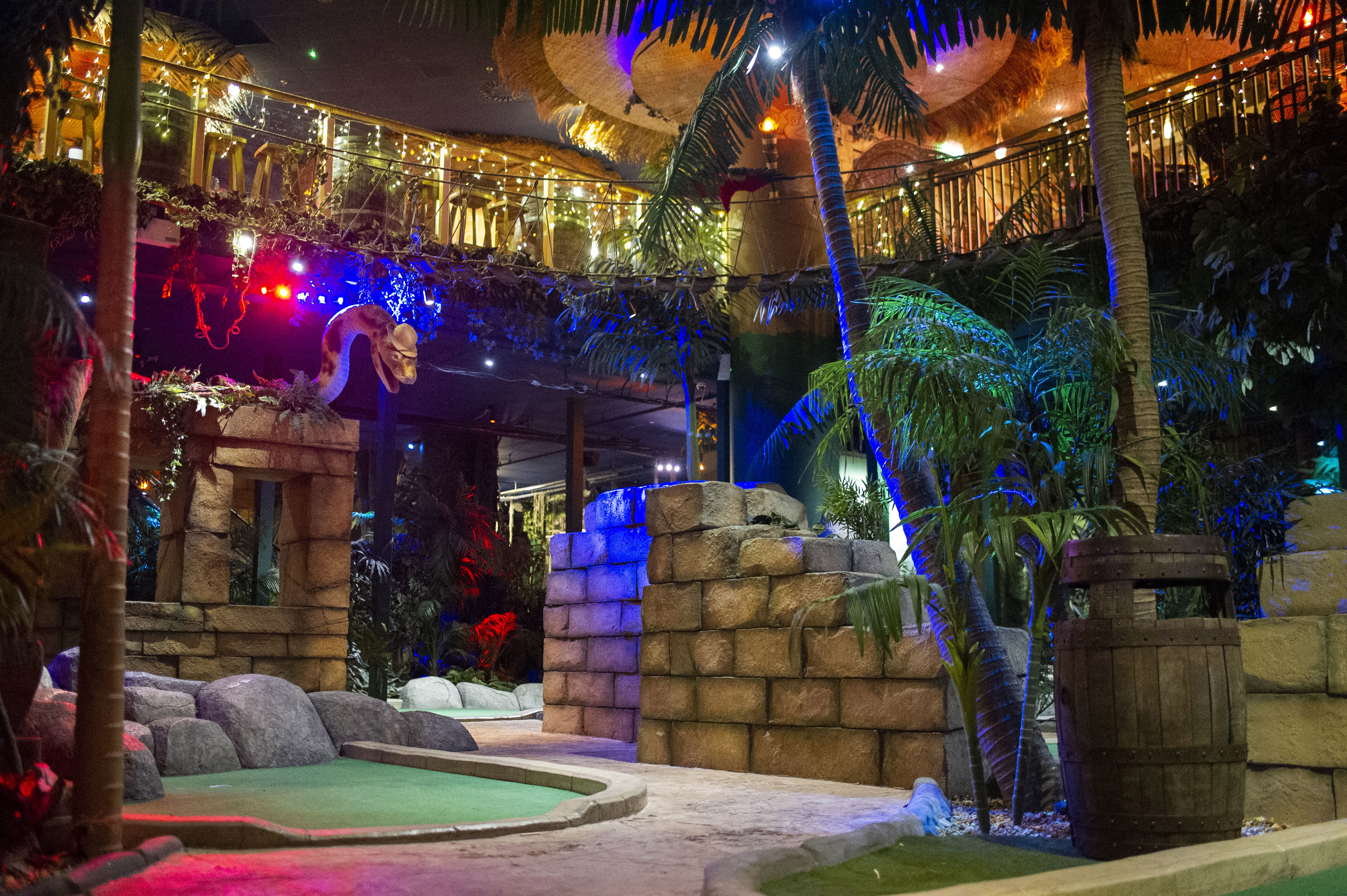 THE LOST CITY