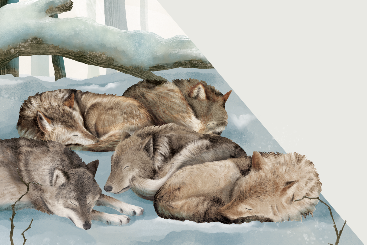 Main Image (9)