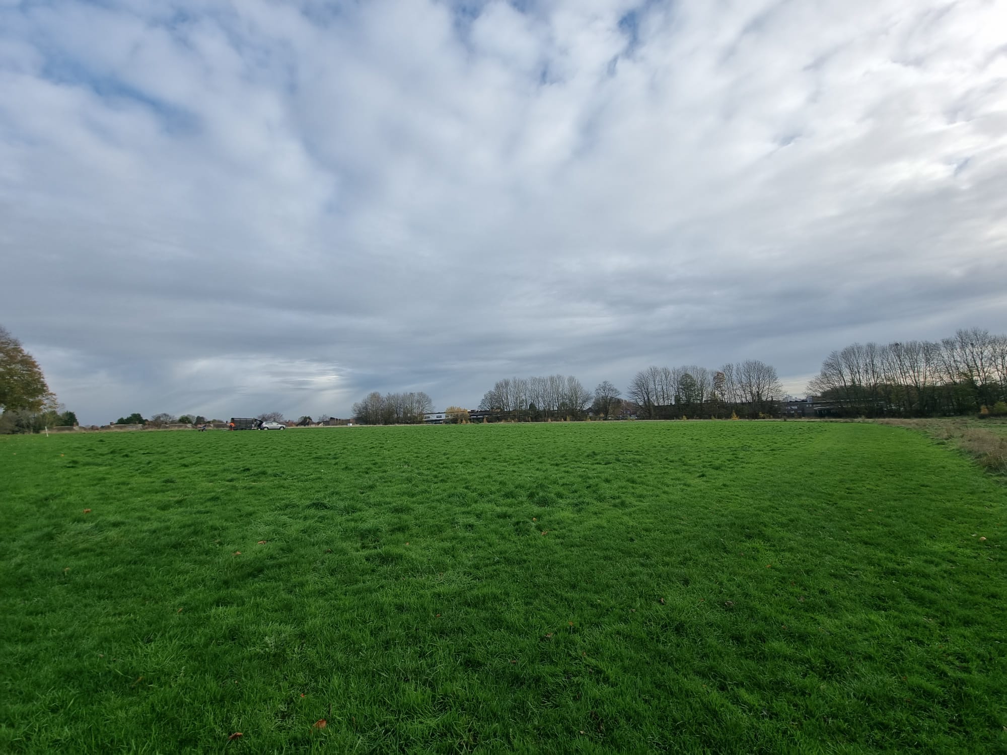 Meadow Area 2 (Digging Day)