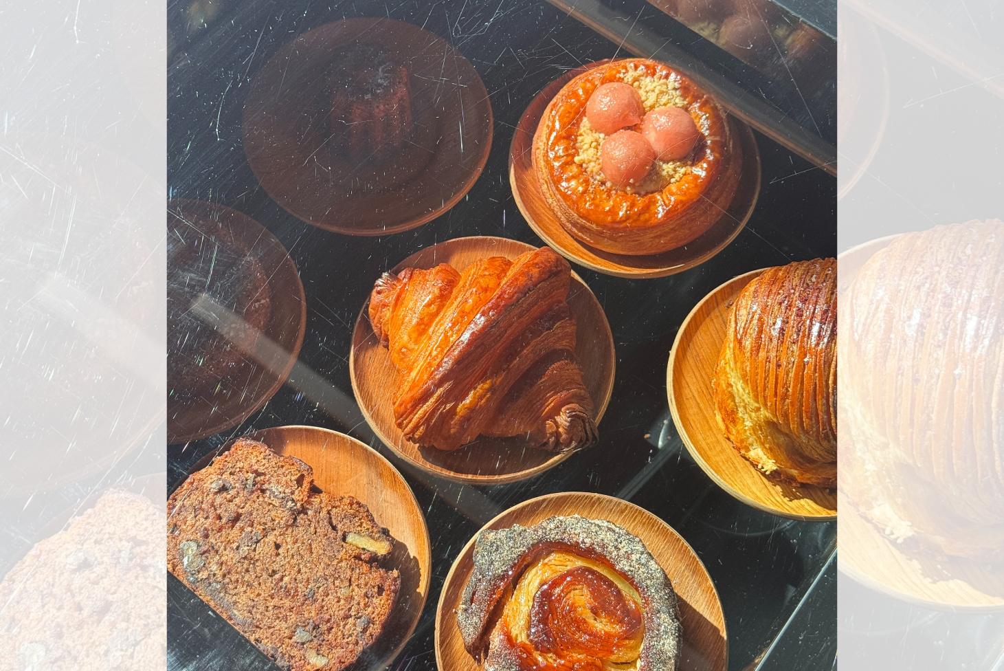 HEADER IMAGE NEWSLETTER (22) (1)