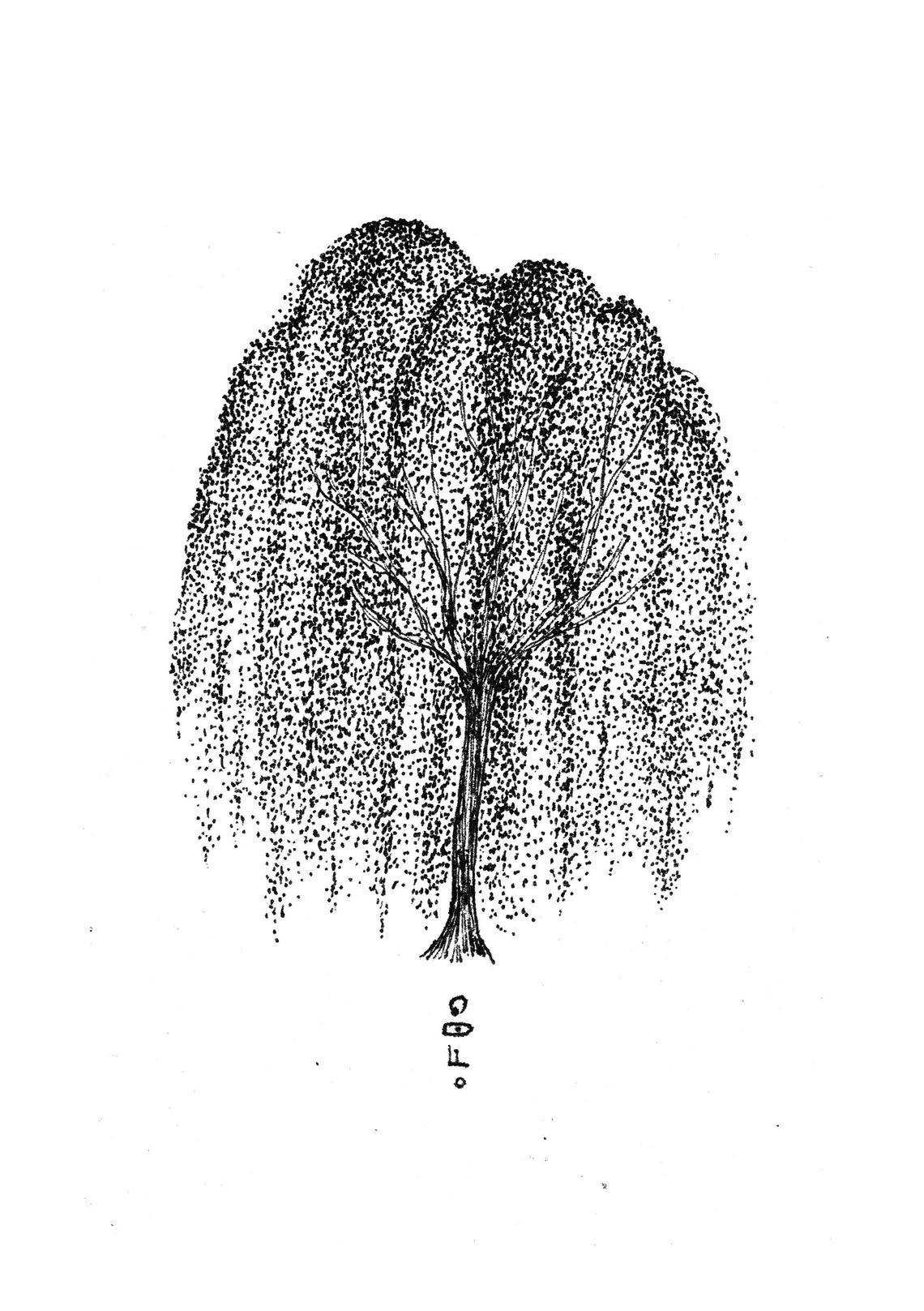 718bcbf7-bc74-4afd-9538-f6675928d48a.jpg