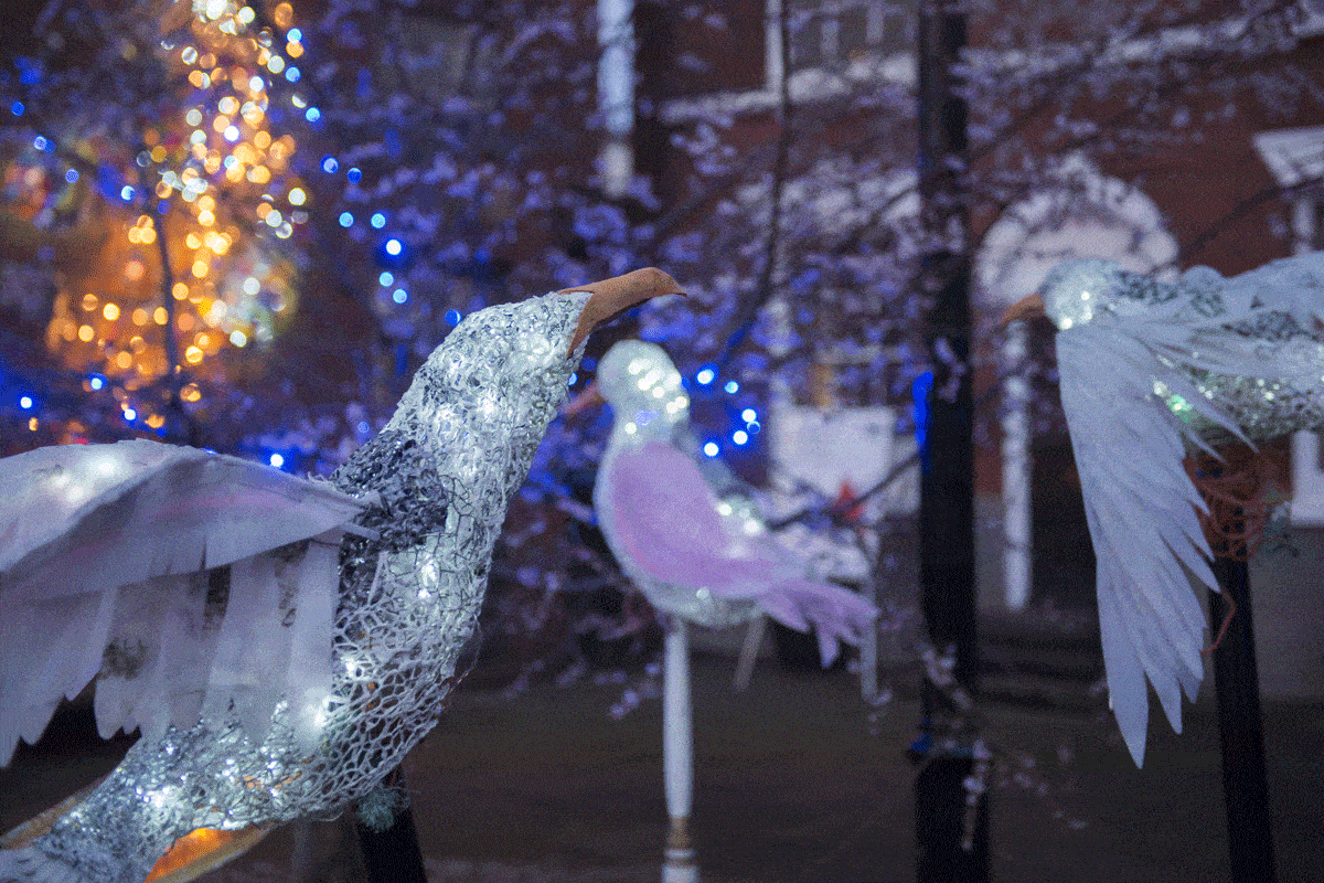 693ab457-f23a-431e-803c-d771c5027a80.gif