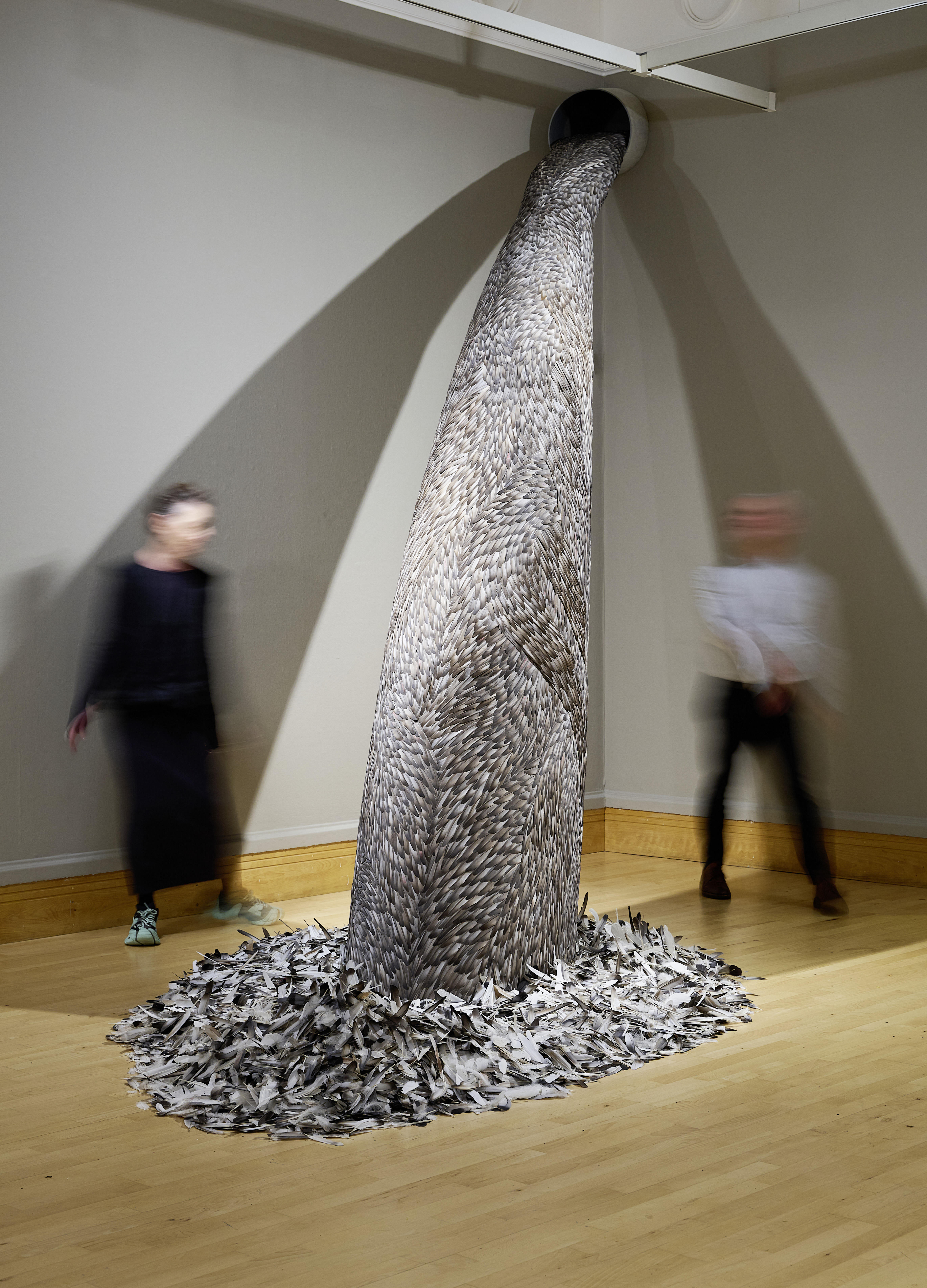 Quiver1 Credit Nick Dunmur