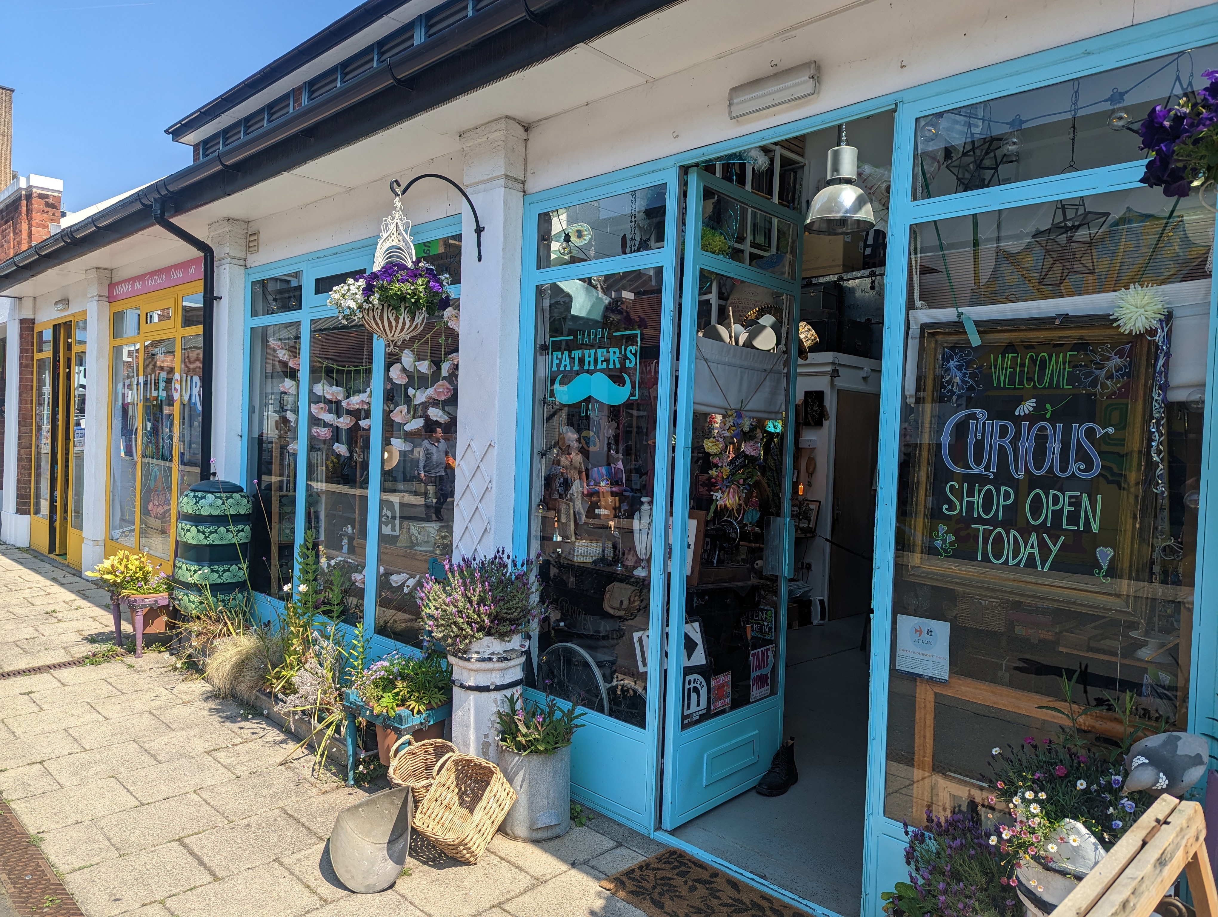 Curious Shop (June 2023)