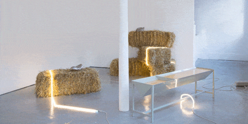 748c6c58-2de9-48af-9259-2a8aec8d33b0.gif