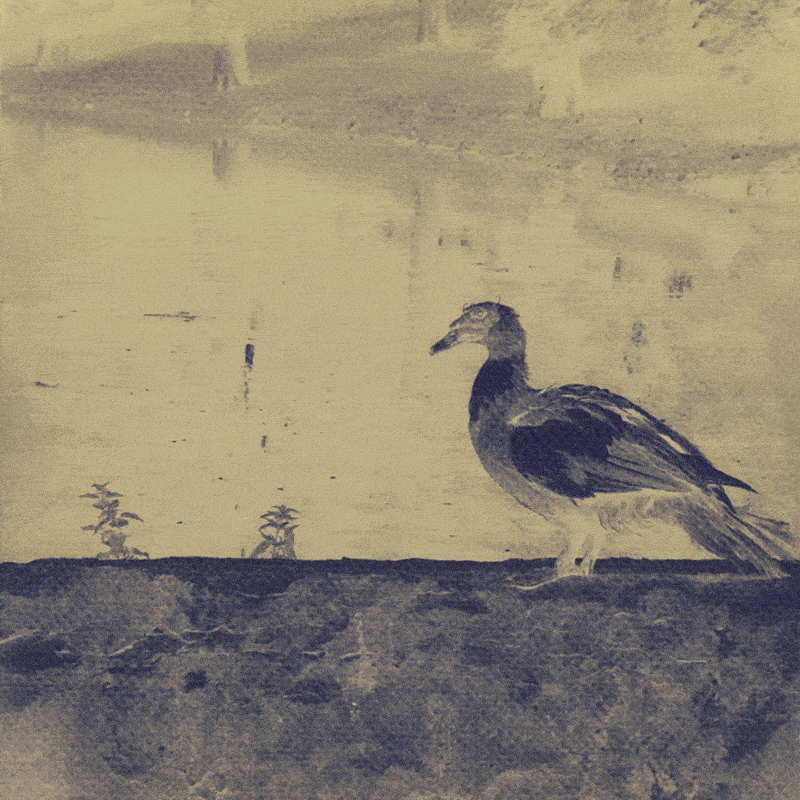 46f5c652-627f-46cf-bb11-8448e583913c.gif