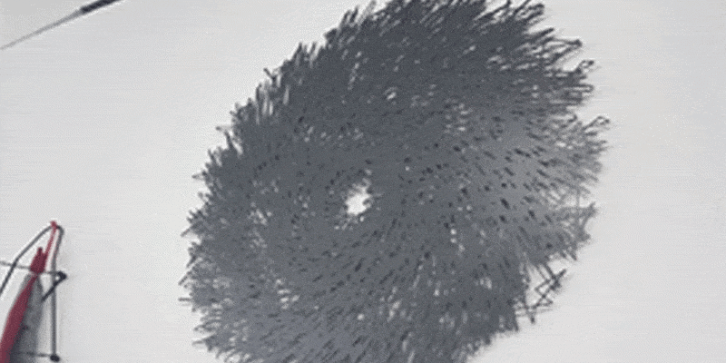7d01d0d0-5bd8-47a8-9603-6b0bd56113bd.gif