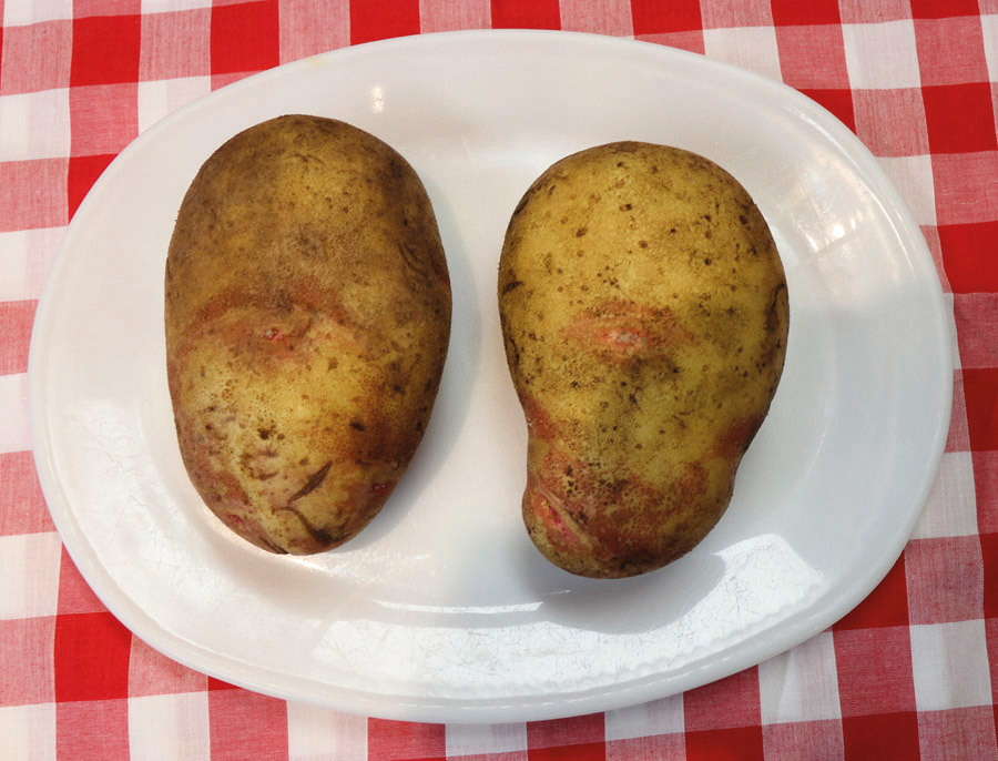 Nottsfoodbakedpotato