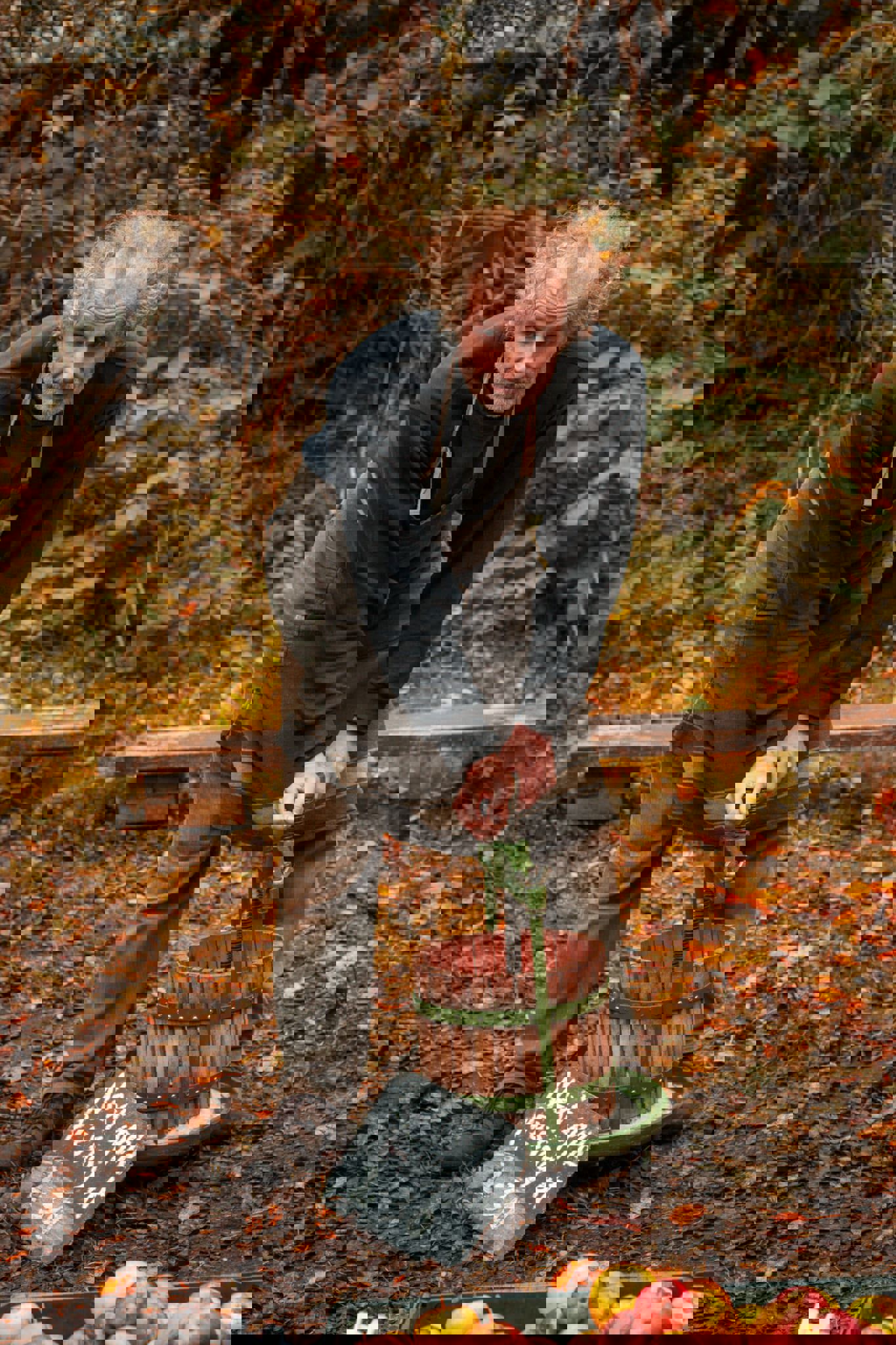 IMG 20241026 WA0005