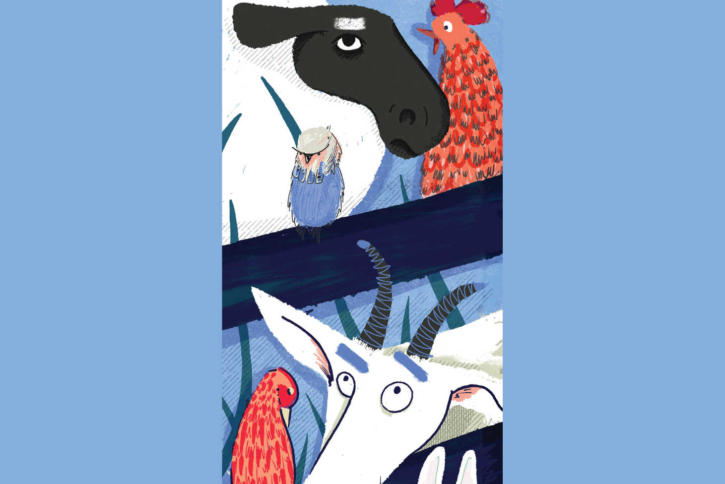HEADER IMAGE NEWSLETTER (24)