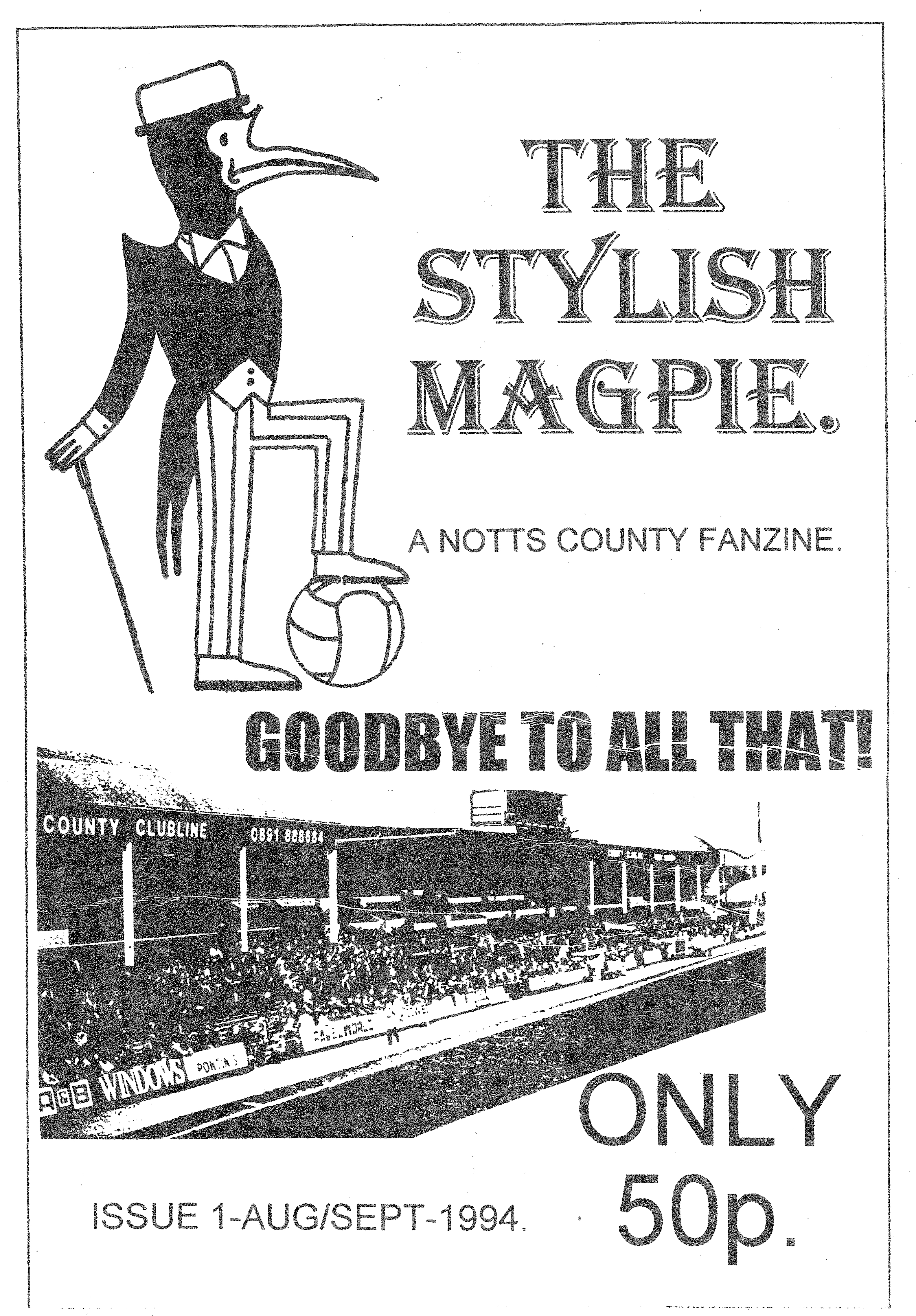 Stylish Magpie
