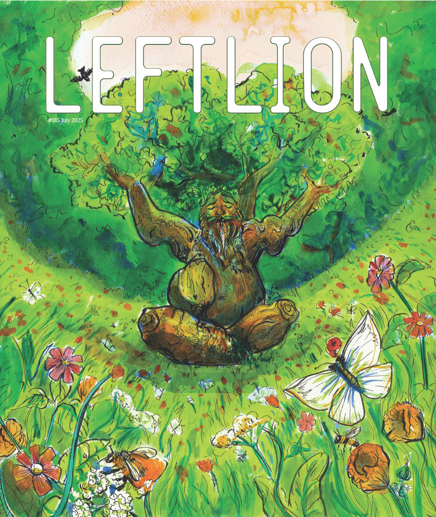 1750946062231 Fa54f34a 9Fa3 4209 Bac1 33F5c15107d0 1