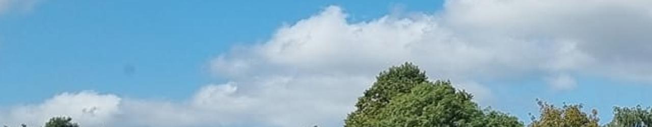 Wollaton Cricket Club-135783.jpeg