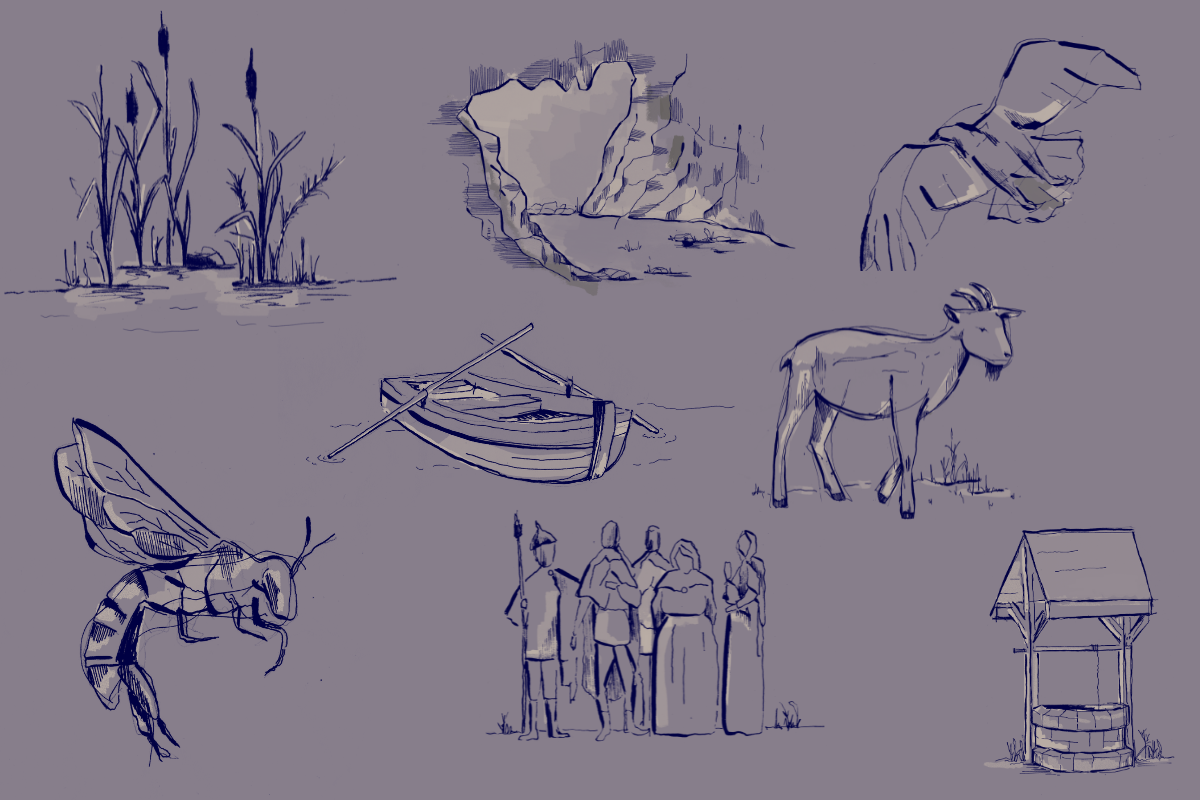 Main Image (14)