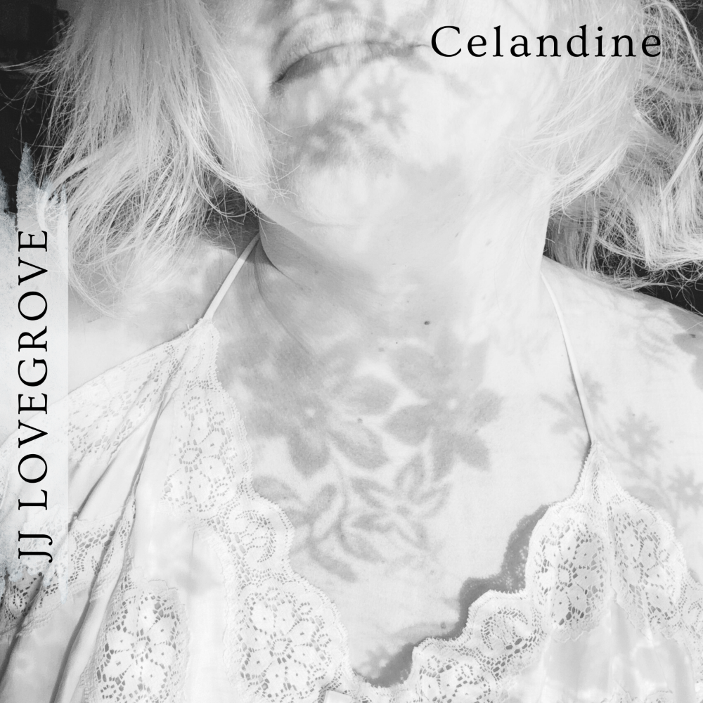 Celandine Artwork (3000 X 3000 Px)