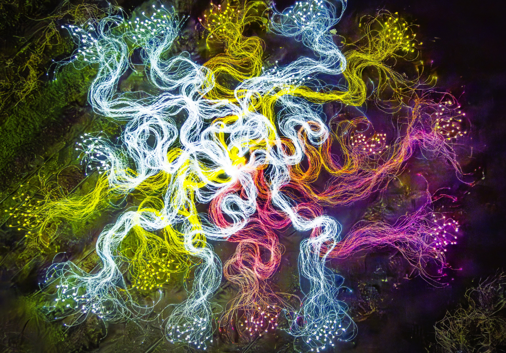 Mycelium Network 1000