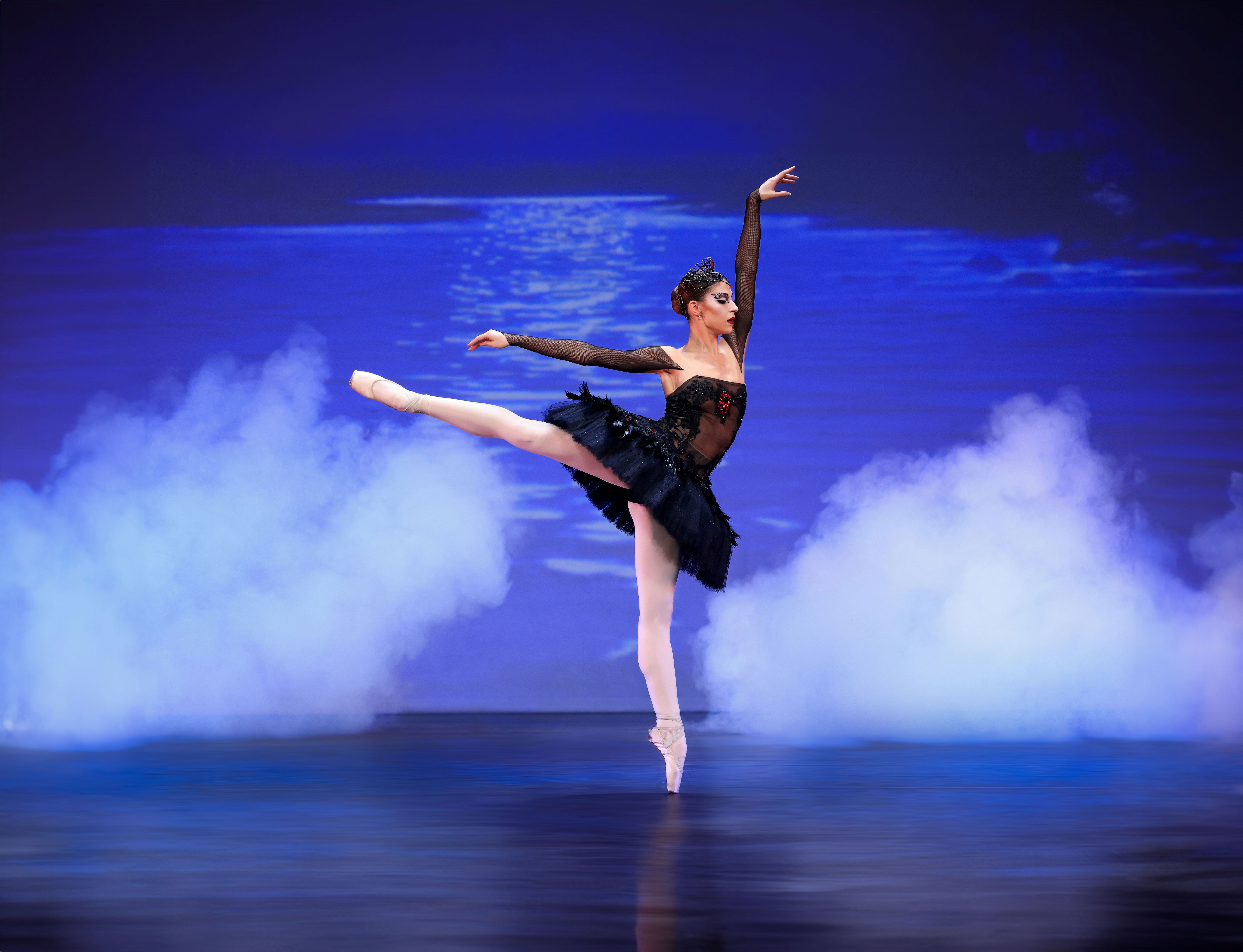 Varna Black Swan 1