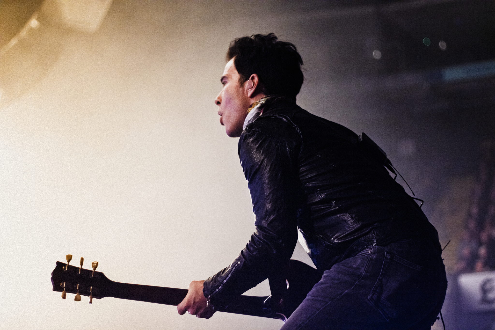 Summer Ford Stereophonics 10