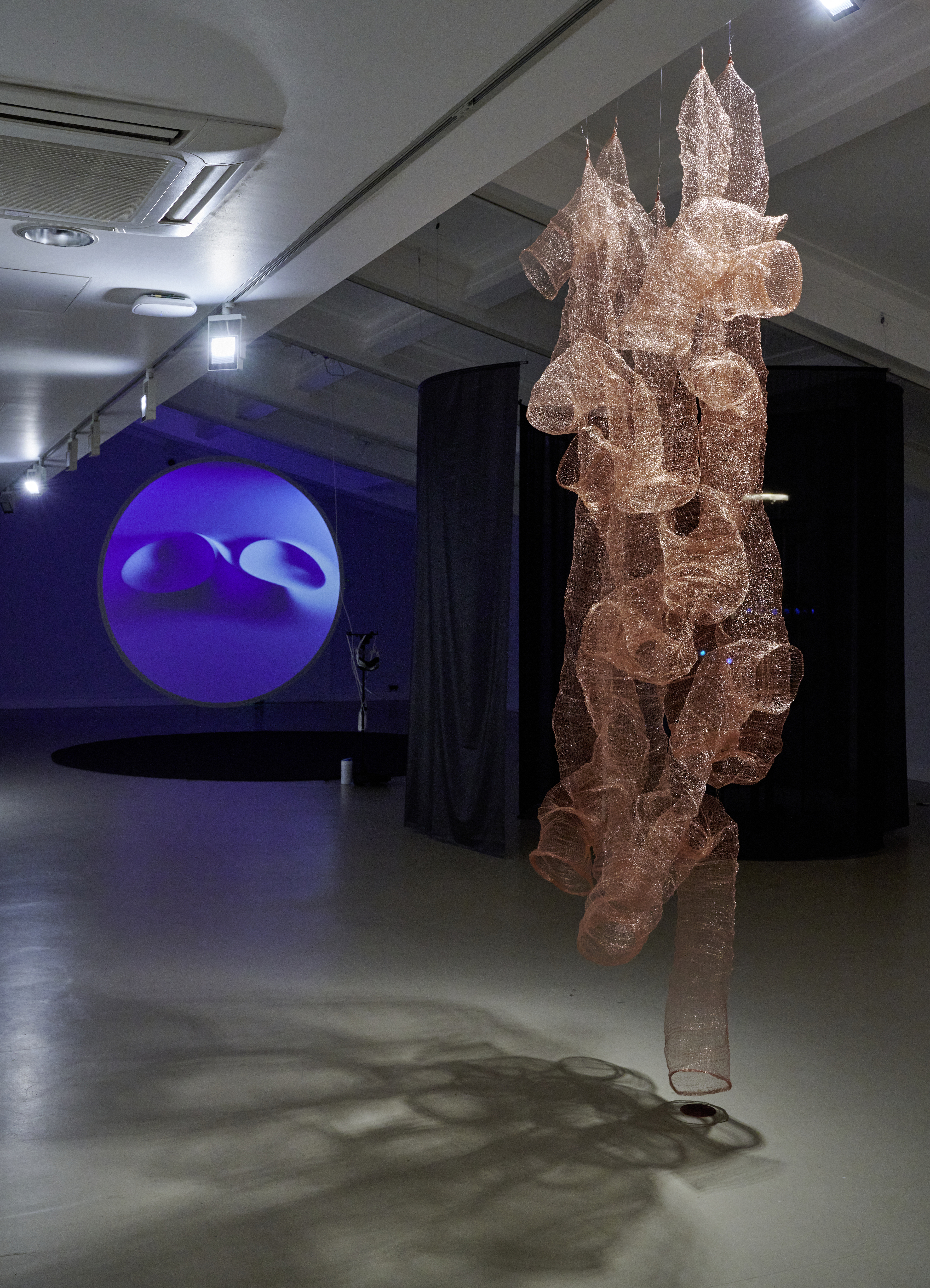 Begriff Des Körpers By Daniela Brill Estrada And Monica C. Locascio Close Up With Other Artworks Behind Credit University Of Nottingham, Photo By Nick Dunmur