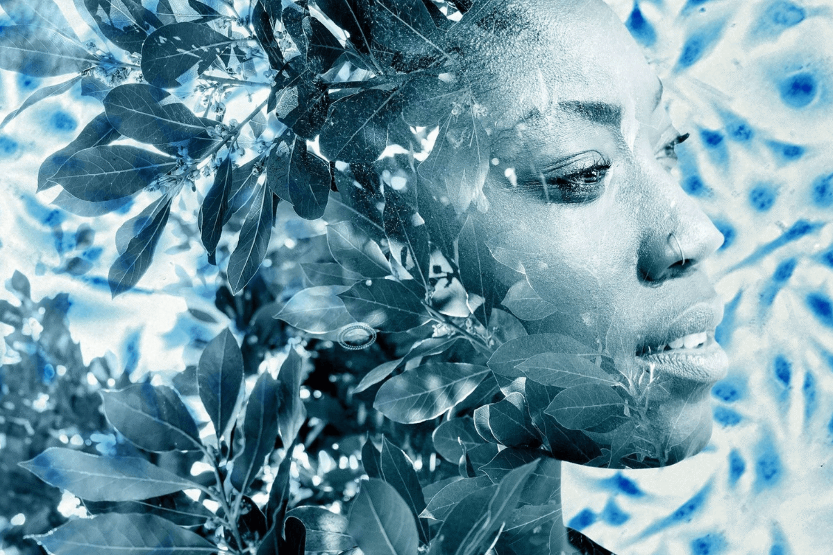 5d45da4d-444d-488b-b144-f117a34837b3.png