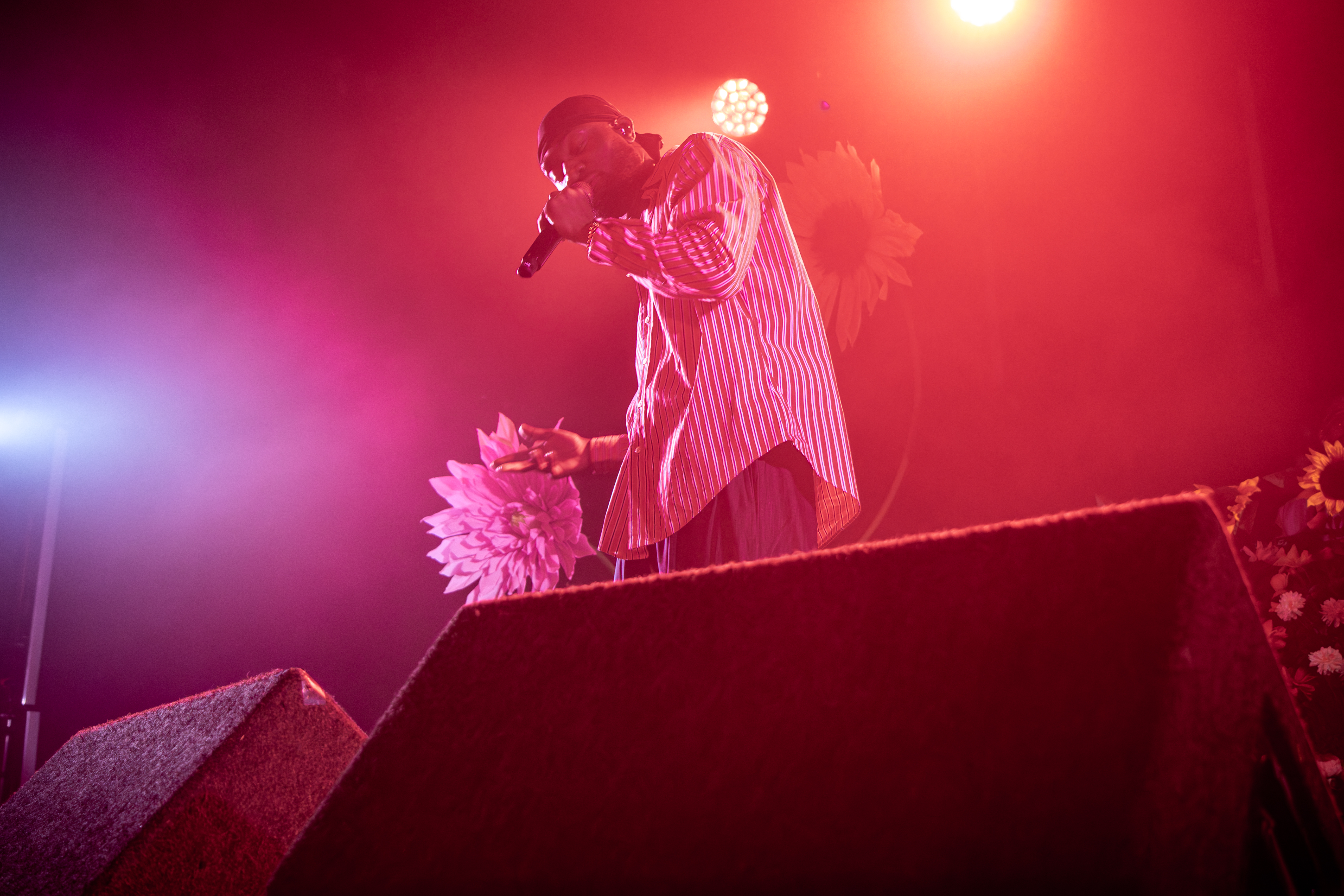 IMG 4459