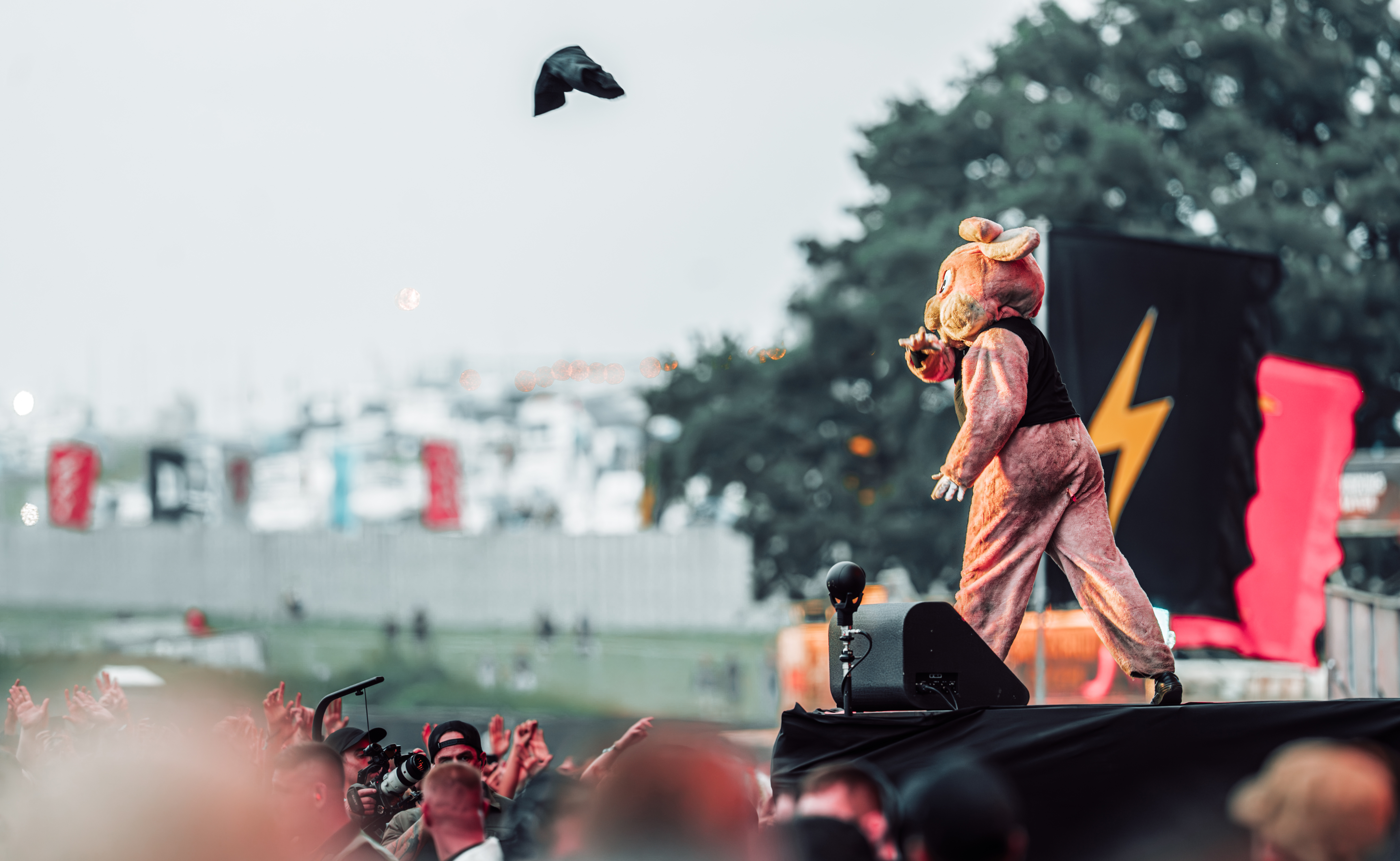 Green Day3