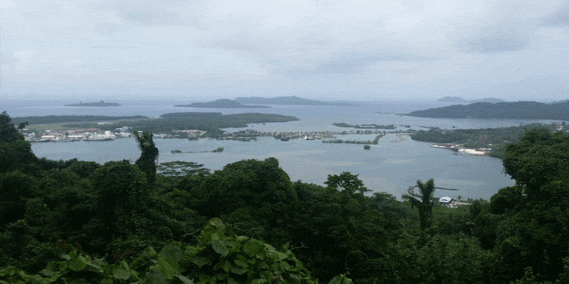 284b01fa-9bfb-4ce4-8efb-6b72d66b3220.gif